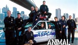 Policija za životinje