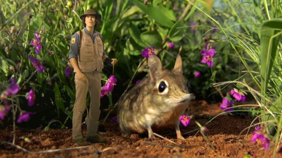 Andy na safariju