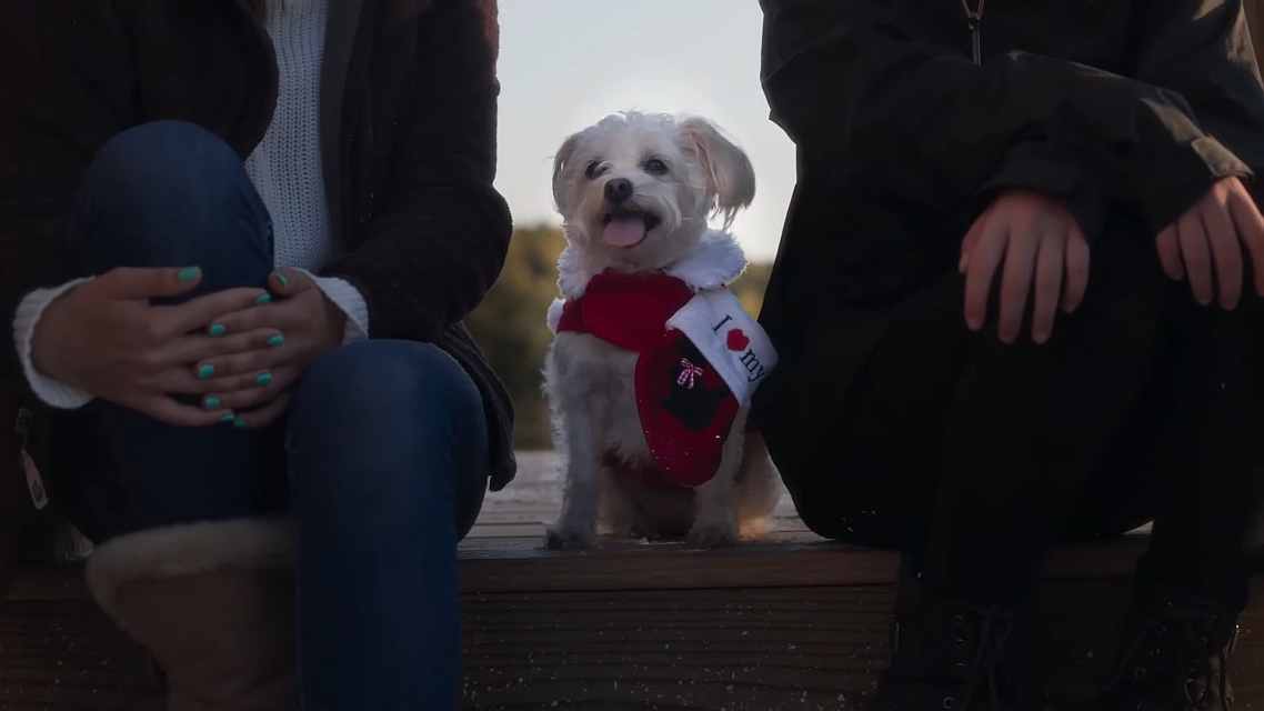 Charlieina božićna želja