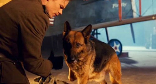 Rin Tin Tin