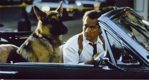 K-9