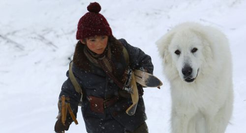 Belle & Sebastien