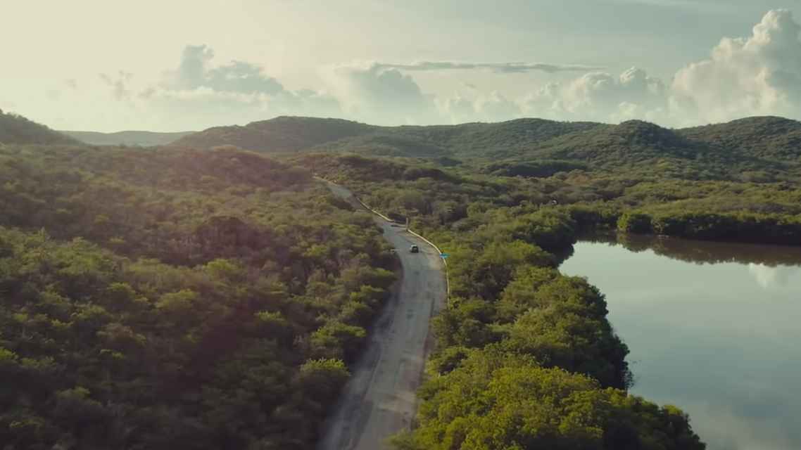 Leteća riba (Buladó, 2020) - Film