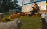 Novi trailer i poster za "The Sheep Detectives" s Hughom Jackmanom i Emmom Thompson