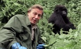 David Attenborough u novom filmu donosi intimnu priču o gorilama iz Ruande