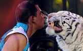 Najbolje cirkuske akrobacije u RTL-ovom prime timeu