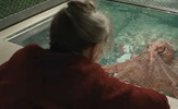 Sally Field, Alfred Molina i Lewis Pullman u najavi za ekranizaciju bestselera Shelby Van Pelt