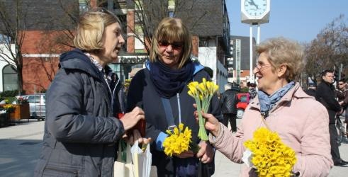 Kronika Zagrebačke županije