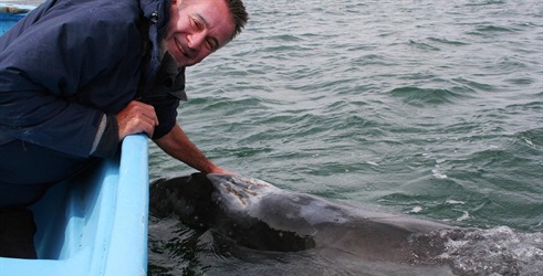 Pustolovsko življenje kitov z Nigelom Marvenom