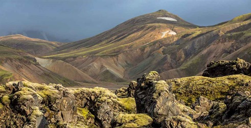 Naravni svet - Islandija: Življenje v divjini