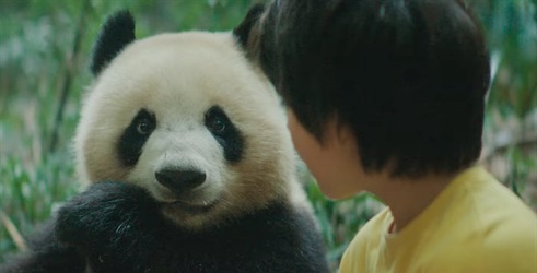 Moon: Veliki panda
