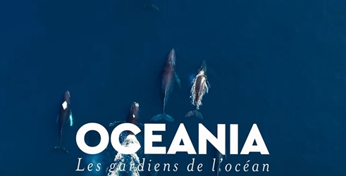 Čuvari oceana