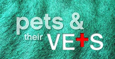 Kućni ljubimci i njihovi veterinari