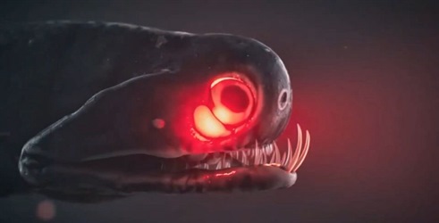 Viasat Explore otkriva Čudovišta iz dubina