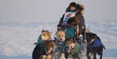 Alaska's Great Race