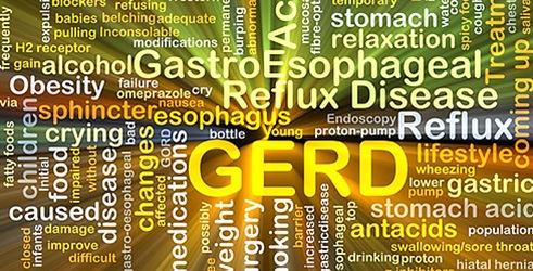 GERB: Više od žgaravice