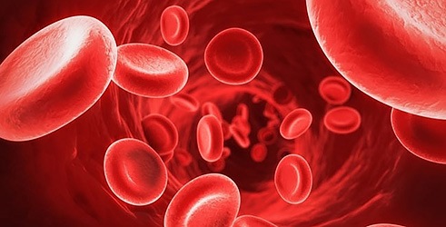 Razumijevanje hemofilije i hemofilije B