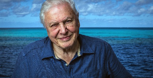 Sir David Attenborough vraća se ovog kolovoza na Viasat Nature s dva uzbudljiva dokumentarca