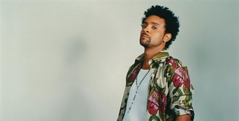 Shaggy: The Official No.1s