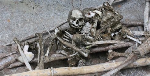 Izgubljene mumije Nove Gvineje