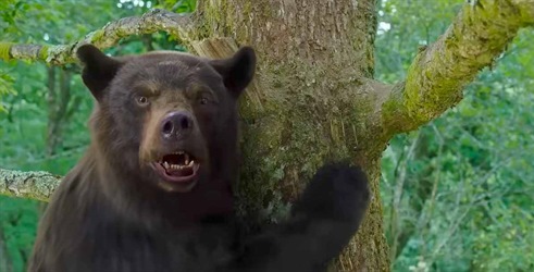 Triler prema istinitom događaju Cocaine Bear dobio prvi trailer
