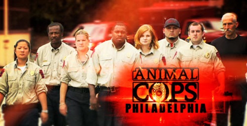 Živalski policisti v Filadelfiji