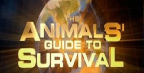 Životinjski vodič za preživljavanje