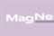 MagNet