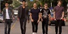 The Wanted Life