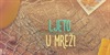 Ljeto u mreži