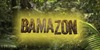 Amazonski drvosječe