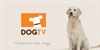 Dog TV