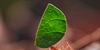 Prvaci prirode