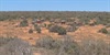 Flavours of South Africa