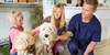 Veterinar na brdu