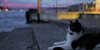 /images/2018-02/70671131-ff87-4c7a-9a09-db3fe9.jpg