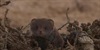 /images/2018-03/4edaf15c-924e-4373-a786-b2ac09.jpg