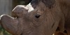 /images/2019-05/5a0bf754-6eaf-4a68-8dd4-fbed45.jpg