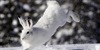 /images/2019-12/4464aadd-a972-466c-901a-e7c489.jpg