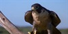 /images/2020-02/6aab2530-1c71-481b-a6c1-cbb5ba.jpg