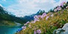 /images/2020-03/e2b6cb70-c8c9-48fa-b94a-9a8bed.jpg