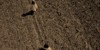 /images/2022-03/ee94aedc-be1b-45af-af42-772759.jpg