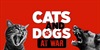 Cats and Dogs At War