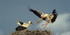 /images/2023-02/49935def-daa4-4d6c-864e-7b6894.jpg