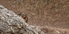 /images/2023-03/f259576a-0d40-431c-a655-8207ee.jpg
