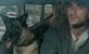 Čovjek i njegov pas protiv kraja svijeta u još jednoj najavi za "The Dog Stars"