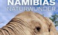 Ekstremna Namibija