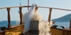 /images/2024-08/ce335512-ed91-49d3-93f2-02eadd.jpg
