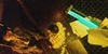 /images/2025-05/2799154a-0496-49e6-8a6d-14f01e.jpg