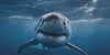 /images/2026-07/a198ab3d-ae40-4c47-8476-556ffa.jpg